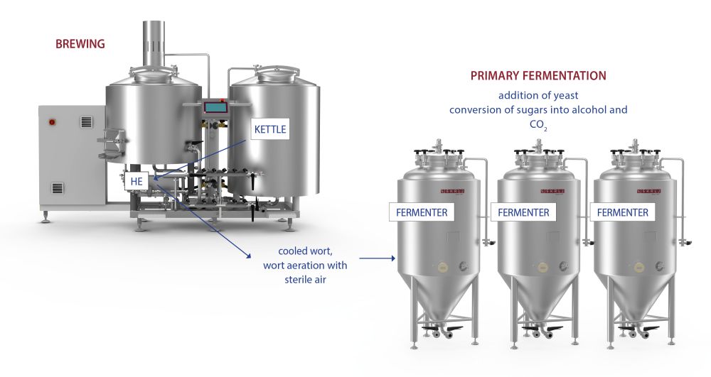 Primary fermentation